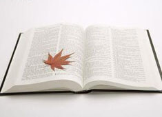 利物浦急中生智，克洛普赛前布阵荣归